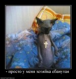 292396_-prosto-u-menya-hozyajka-ebanutaya.JPG