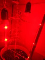 2017-05-12 21-41-58.JPG