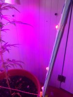 2017-05-12 21-42-43.JPG