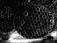 P70513-125706-01.jpeg