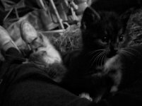 P70513-123135-01.jpeg