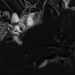 P70513-123121_1-01.jpeg
