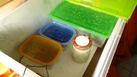 DSC01427.JPG