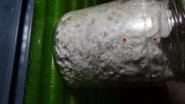 DSC01416.JPG