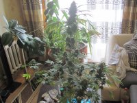 IMG_2151.JPG