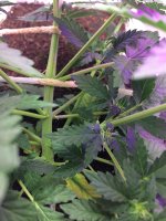 20170517_145913310_iOS.jpg