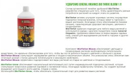 Безымянный 2.jpg