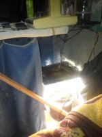 IMG_20170517_185800.jpg
