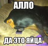 68778631.f.800.800.0.jpg