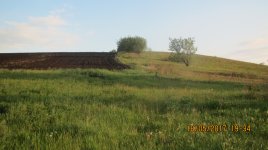 IMG_1306.JPG