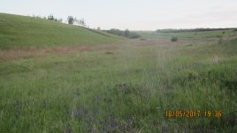 IMG_1307.JPG