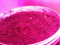 20170519_192711.jpg