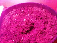 20170519_192718.jpg