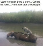 imageааааа.jpg