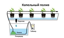 капля.jpg