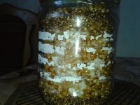 Фото-0123.jpg