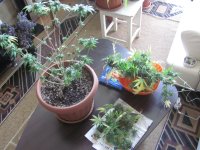 IMG_2224.JPG