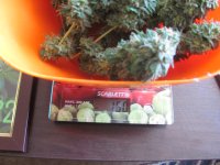 IMG_2228.JPG
