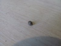 IMG_2236.JPG