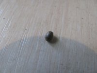 IMG_2237.JPG