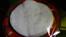 DSC01447.JPG