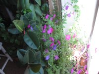 IMG_2247.JPG