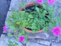 DSCN4135.JPG