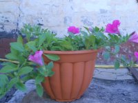 DSCN4134.JPG