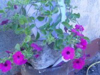 DSCN4133.JPG