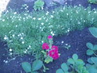DSCN4142.JPG