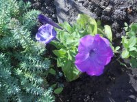 DSCN4141.JPG
