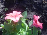 DSCN4140.JPG