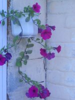 DSCN4137.JPG