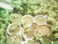 IMG_20170327_194843.jpg