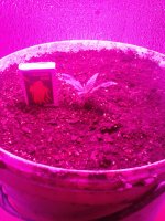 20170527_175813.jpg