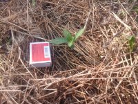 20170527_175909.jpg