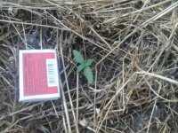 20170527_175916.jpg