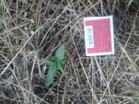 20170527_175941.jpg
