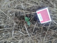 20170527_175959.jpg