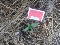 20170527_180005.jpg