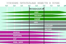 усвоение питательных веществ в почве в зависимости от пиаш.jpg