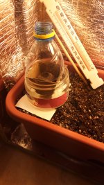 IMG_20170528_120243.jpg