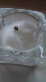 IMG_20170528_114526.jpg
