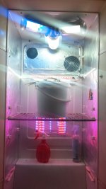 20170529_084612.jpg