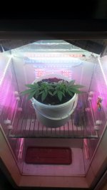 20170529_084628.jpg