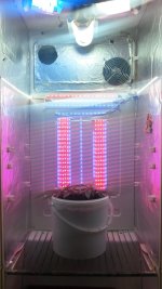 20170529_084721.jpg