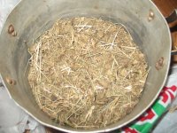 IMG_3193.JPG