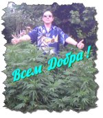 Серега Лютый.jpg