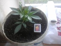 20170604_093100.jpg