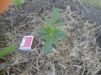 20170604_093411.jpg